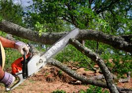 Best Aeration Services  in Rayre, MO